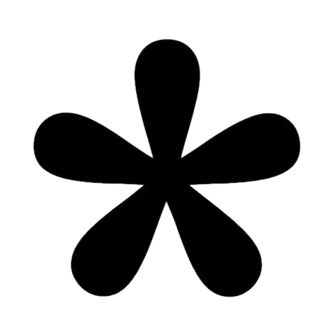 Tally Logo